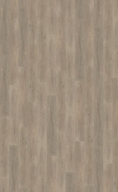 Belakos Palazzo 700 | Bruin