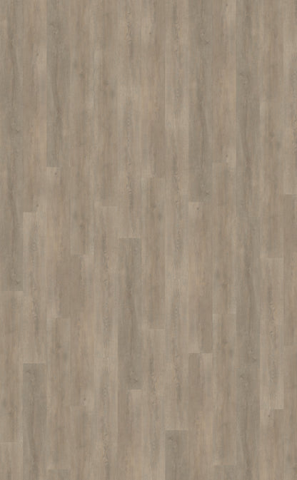 Belakos Palazzo 700 | Bruin