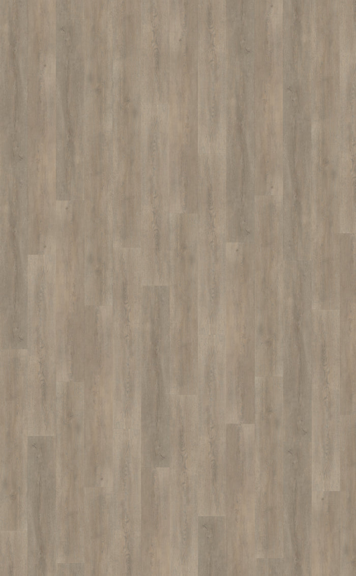 Belakos Palazzo 700 | Bruin