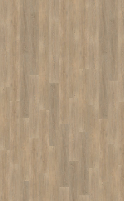 Belakos Palazzo 710 | Rigid Click | Bruin