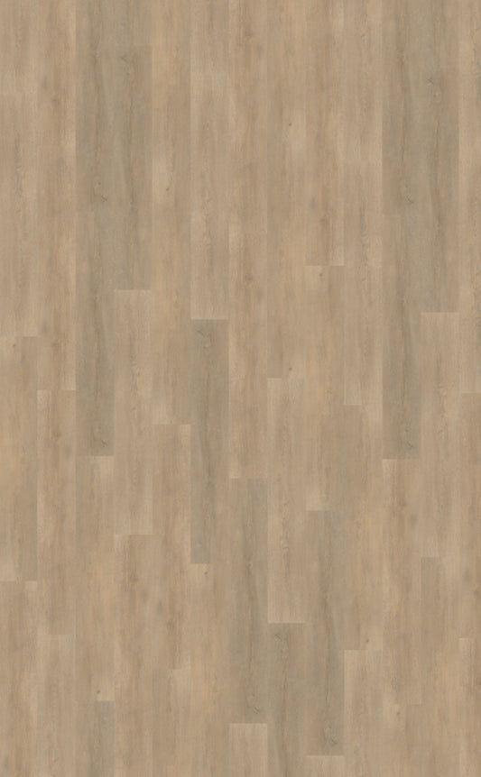 Belakos Palazzo 710 | Rigid Click | Bruin