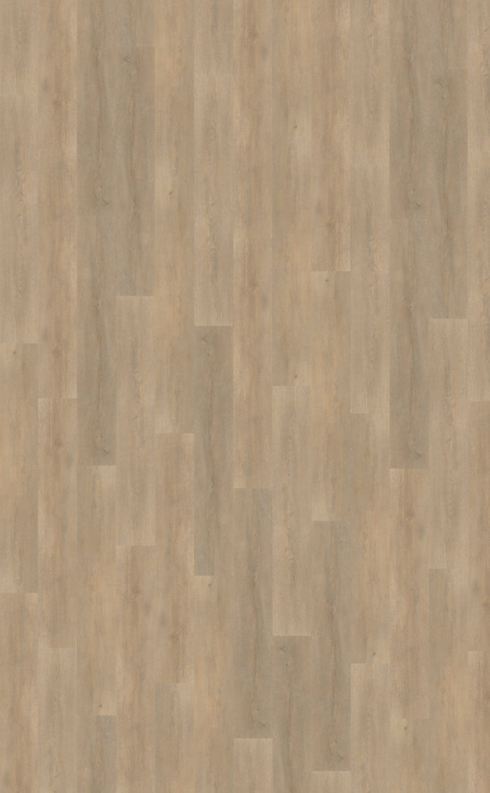 Belakos Palazzo 710 | Rigid Click | Bruin