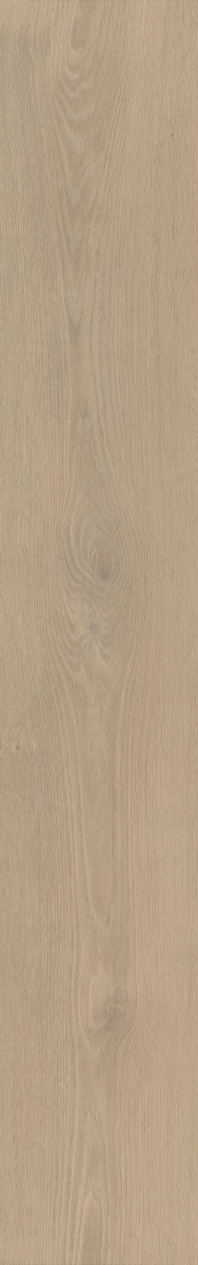 Belakos Palazzo 740 | Bruin