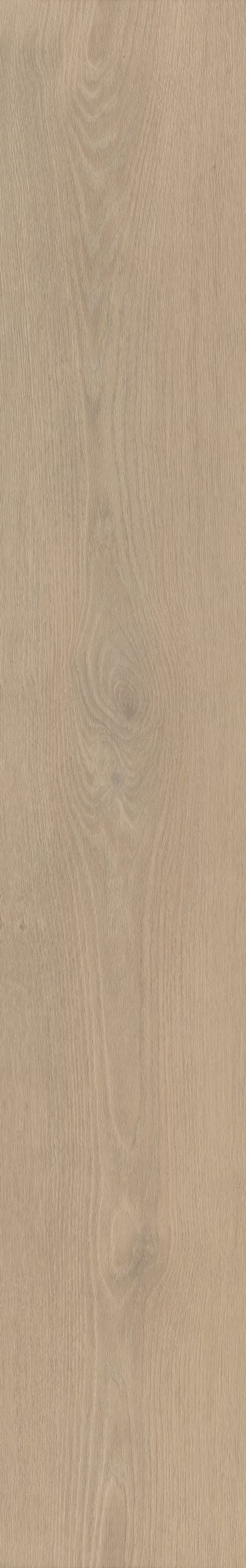 Belakos Palazzo 740 | Bruin