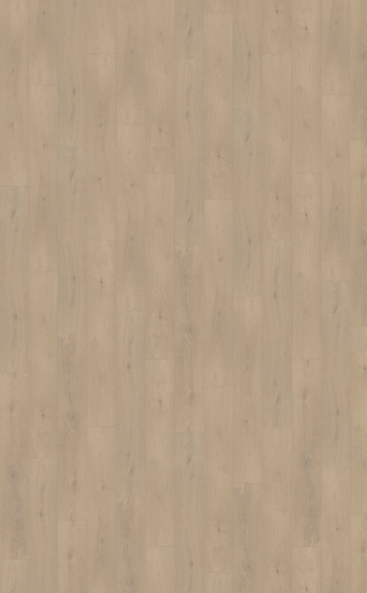 Belakos Palazzo 740 | Bruin