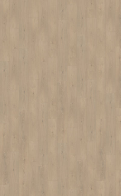 Belakos Palazzo 740 | Rigid Click | Bruin