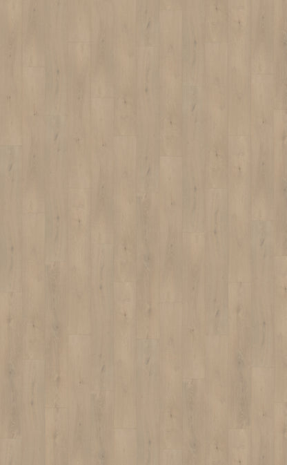 Belakos Palazzo 740 | Rigid Click | Bruin