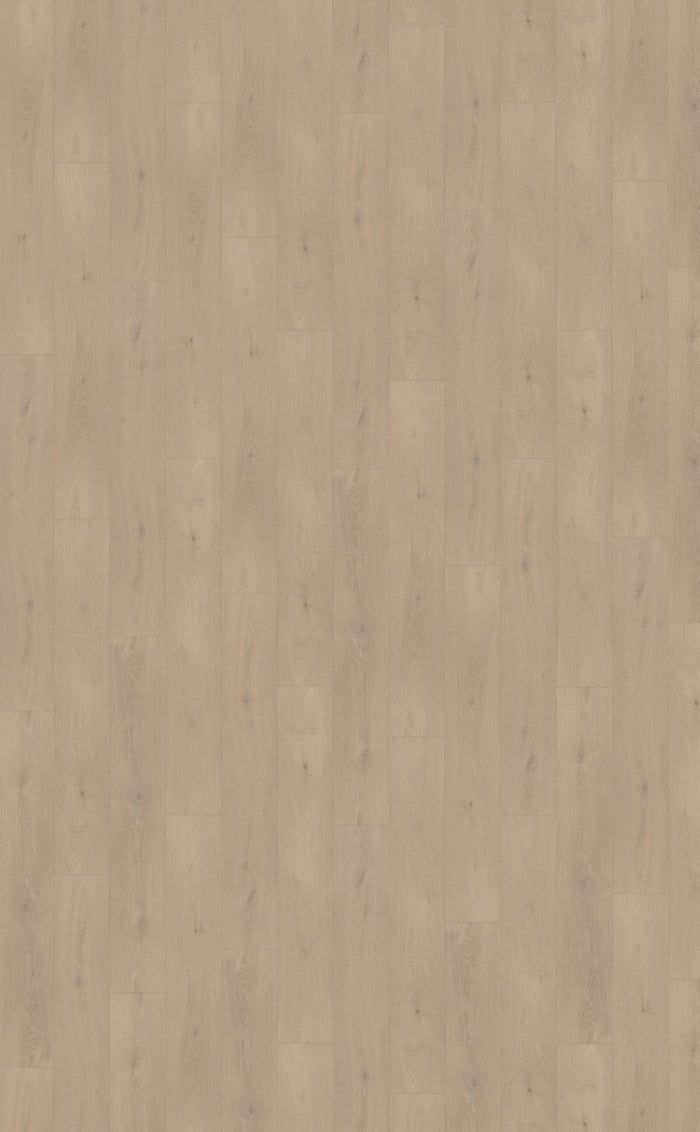 Belakos Palazzo 740 | Rigid Click | Bruin