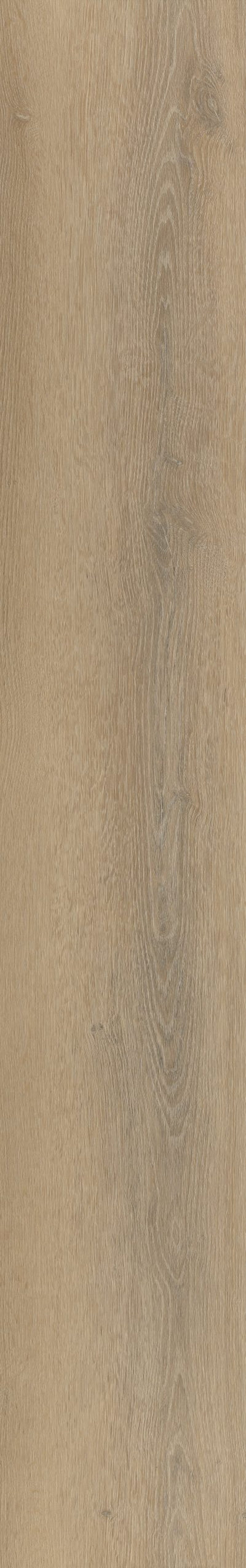 Belakos Palazzo 760 | Rigid Click | Bruin
