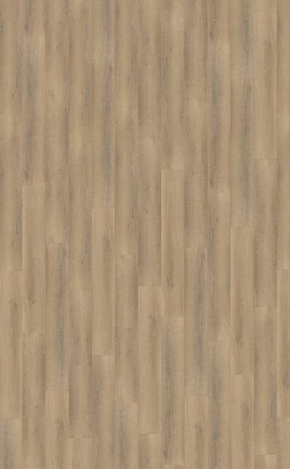 Belakos Palazzo 760 | Rigid Click | Bruin