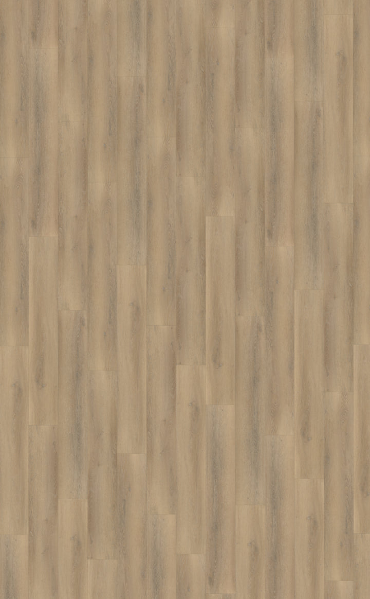 Belakos Palazzo 760 | Bruin