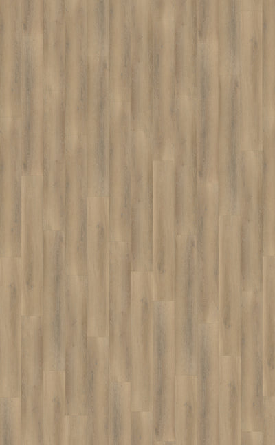 Belakos Palazzo 760 | Bruin