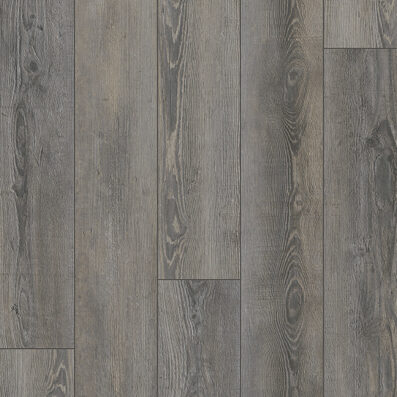 Gelasta City Olympia Pine Brown