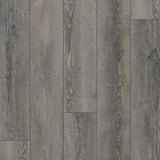 Gelasta City Olympia Pine Brown