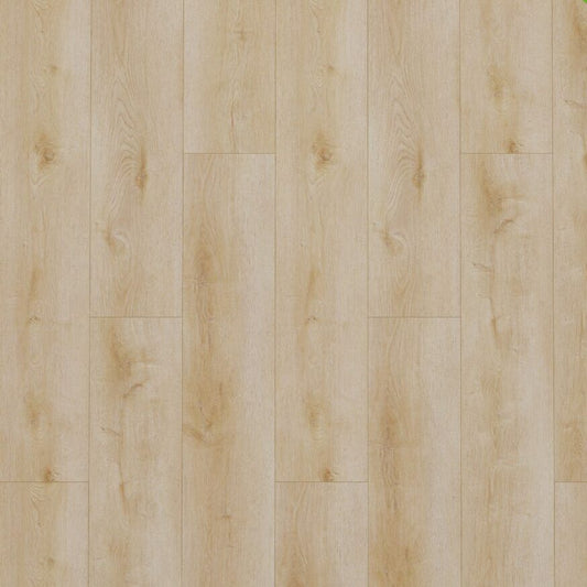 Gelasta Dynamic Klik Natural Light