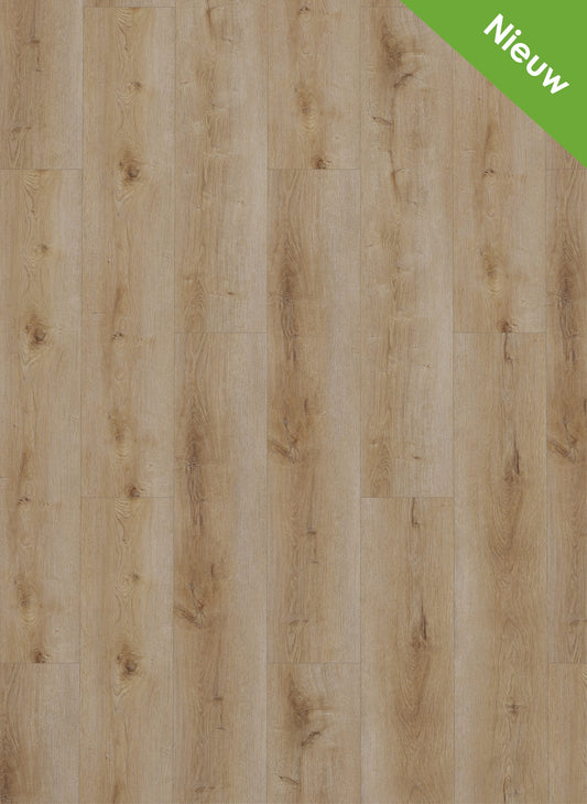 Gelasta Dynamic Klik Natural Smoked