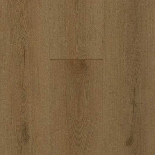 Gelasta Firmfit Sierra Brown