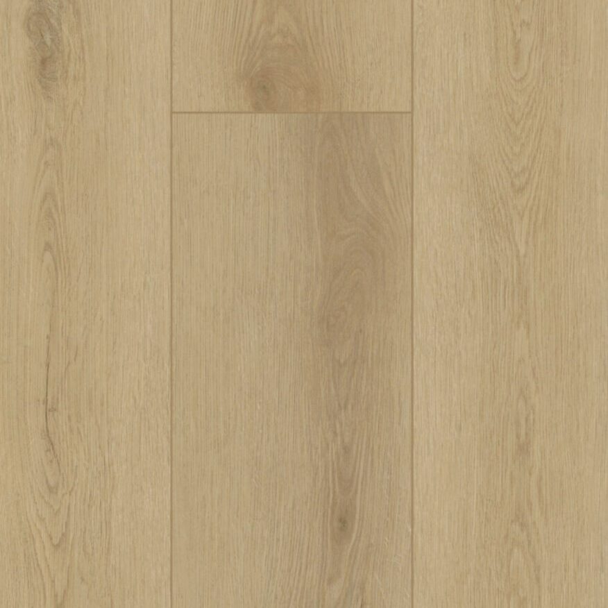 Gelasta Firmfit Sierra light
