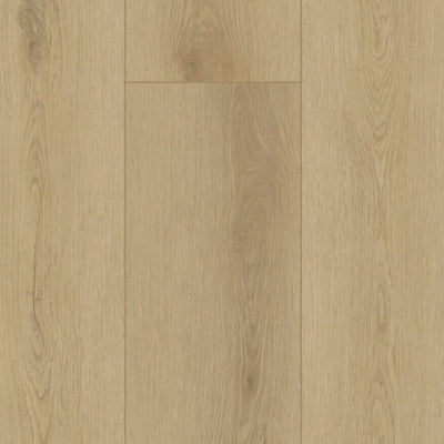 Gelasta Firmfit Sierra light