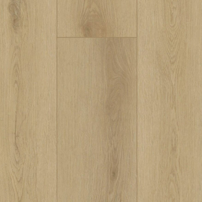 Gelasta Firmfit Silent Rigid Click Sierra light