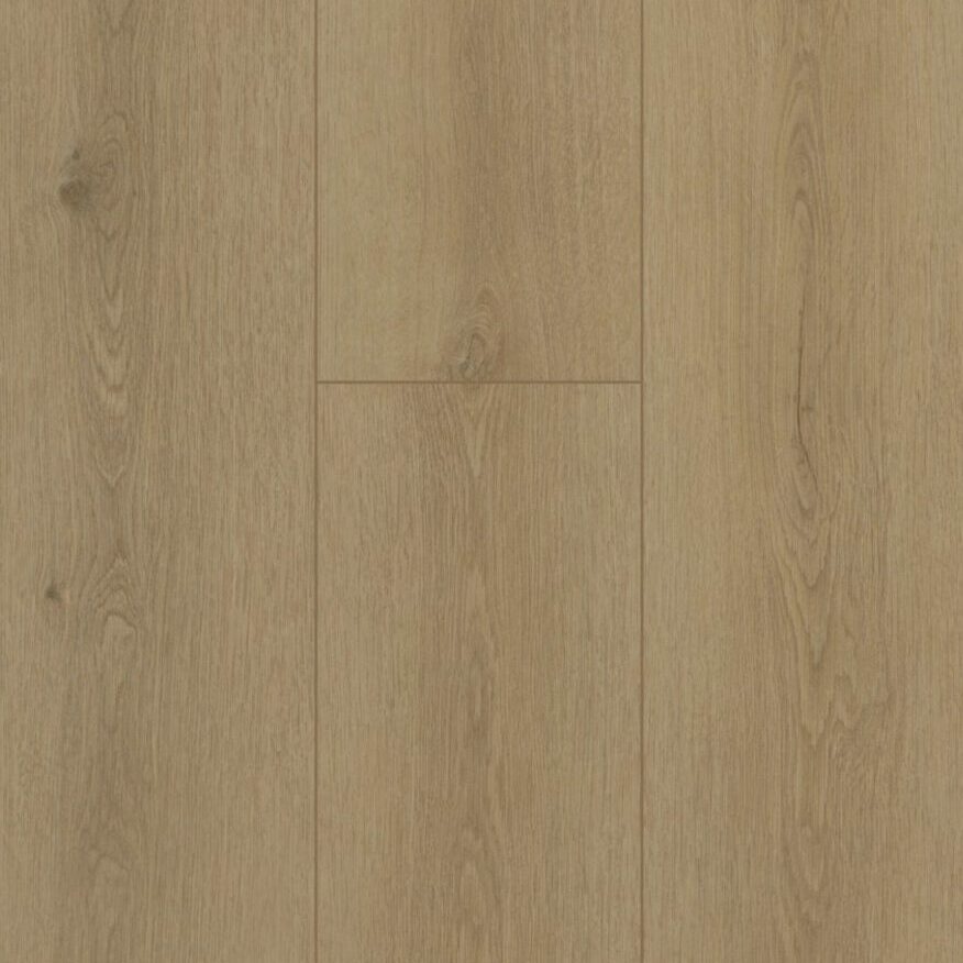 Gelasta Firmfit Sierra Beige