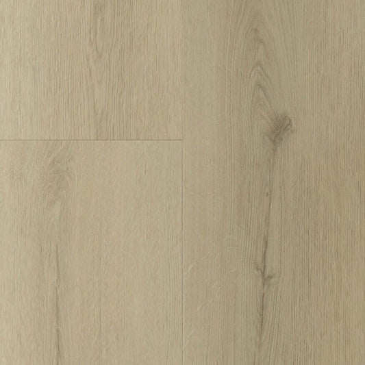 Gelasta Sierra Dryback Smoked