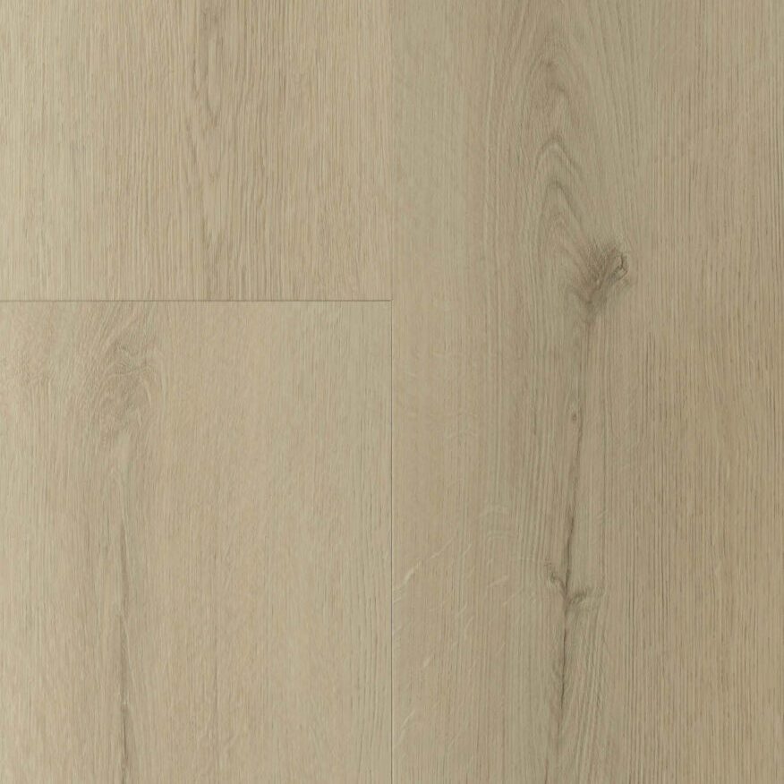 Gelasta Sierra Rigid Click Smoked