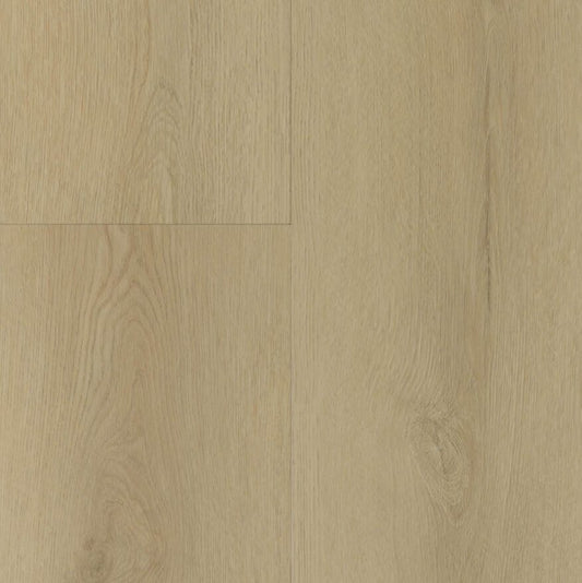 Gelasta Sierra Rigid Click Light 3002