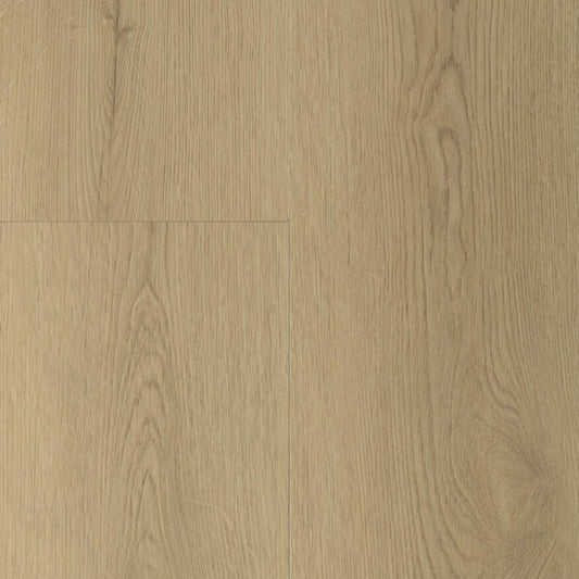 Gelasta Sierra Dryback Natural