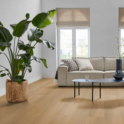 Ambiant Sentima klik (Dark Oak)